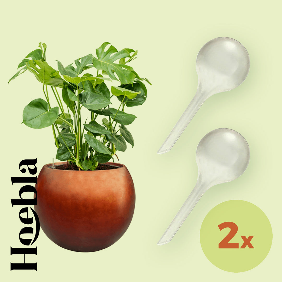 Waterdruppelaar transparant (s) – Set 2 stuks