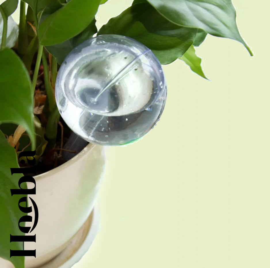 Waterdruppelaar transparant (s) – Set 2 stuks