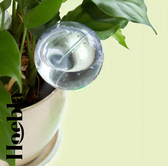 Waterdruppelaar transparant (s) – Set 2 stuks